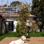 Дом отдыха Lagunak Maison Piscine Chauffee Plage A Pied Animaux Ok Proche Hossegor Лабенн