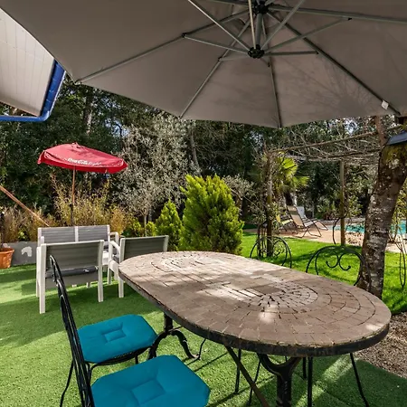 Lagunak Maison Piscine Chauffee Plage A Pied Animaux Ok Proche Hossegor