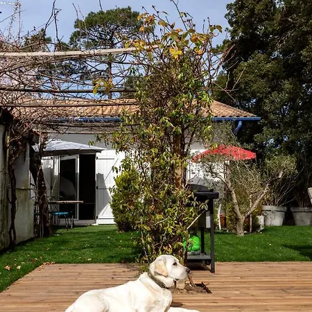 بيت للعطل Lagunak Maison Piscine Chauffee A Pied Animaux Ok Proche Hossegor لابينيه